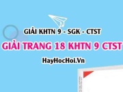 Giải KHTN 9 trang 18 Chân trời sáng tạo SGK